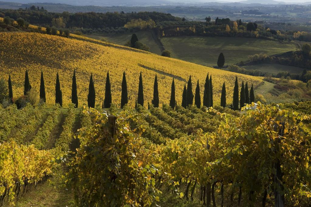 Agriturismo Campo Lungo San Donato in Poggio ห้อง รูปภาพ